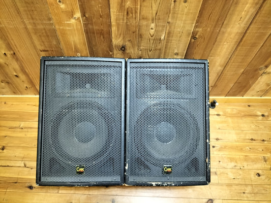 CLASSIC PRO クラシックプロ CP12M フロアモニタースピーカーペア 24011708