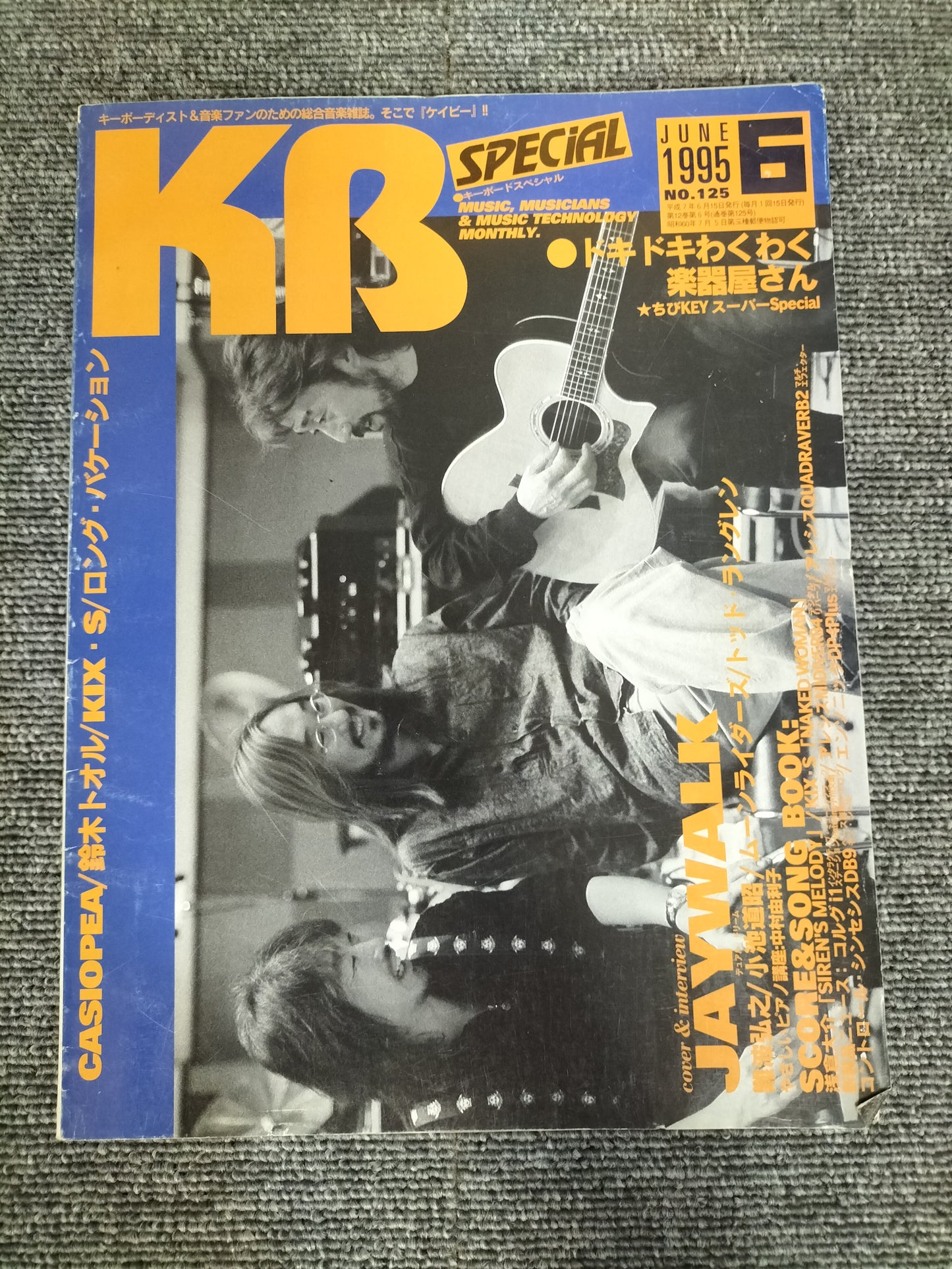 KEYBORD SPECIAL キーボードスペシャル 1995年6月 No.125 S22080903