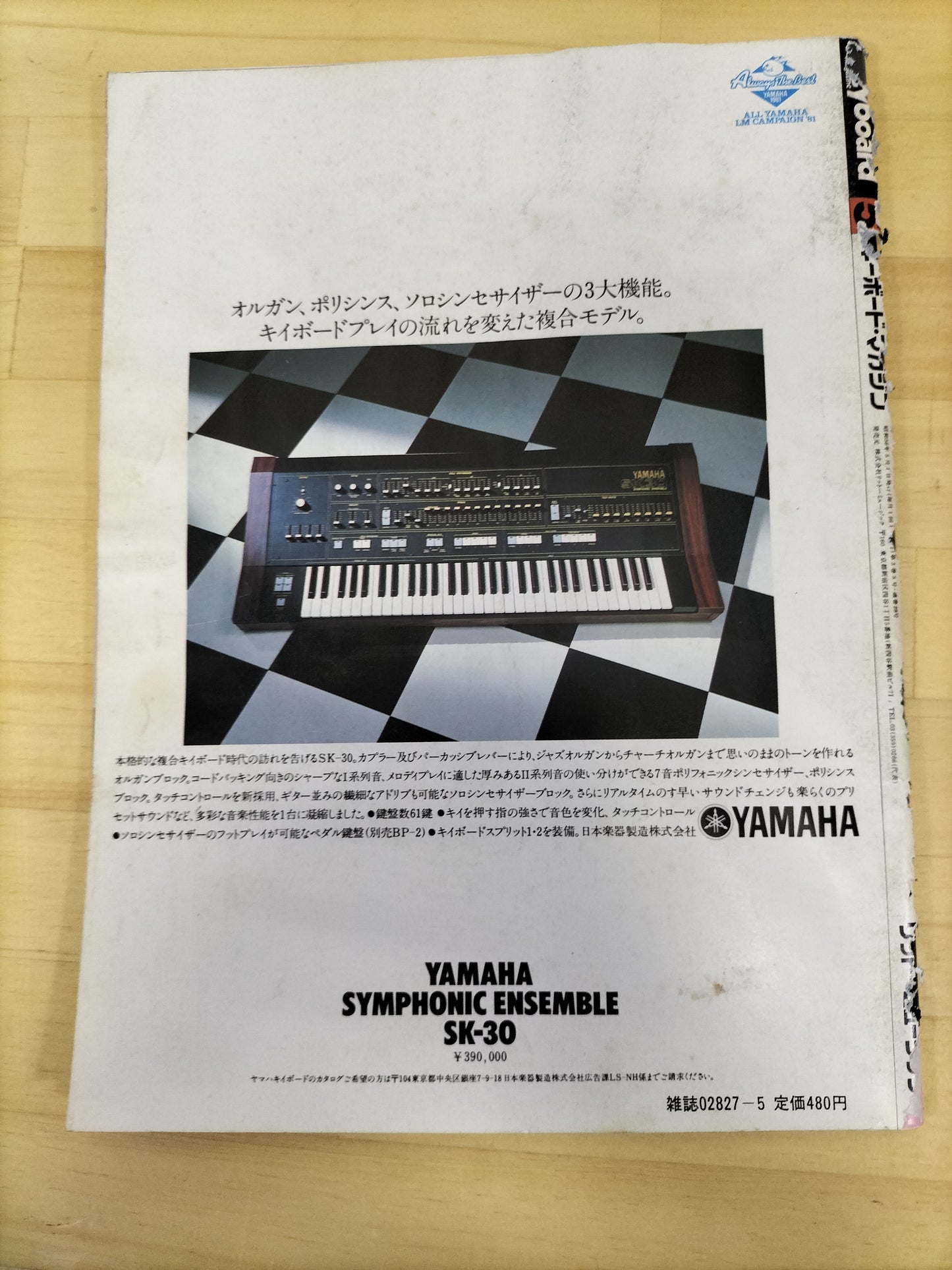 Keyboard magazine　キーボードマガジン　1981年　5月号　S22071231