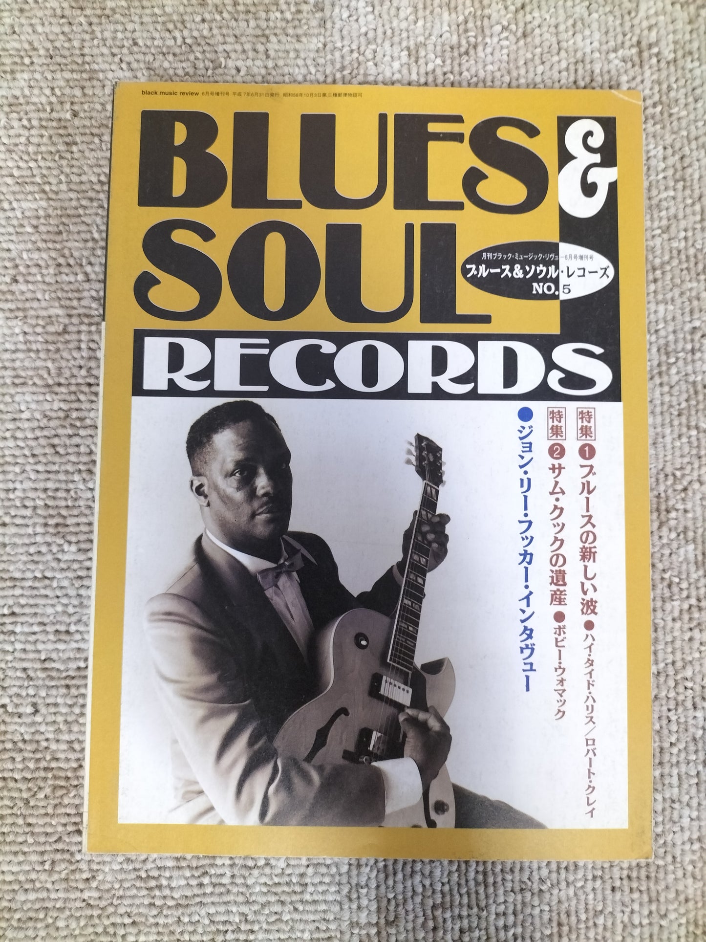 BLUES＆SOUL RECORDS　ブルース＆ソウル・レコーズ　1995年6月　No.5　月刊ブラック・ミュージック・リヴュー6月号増刊号　S22092612